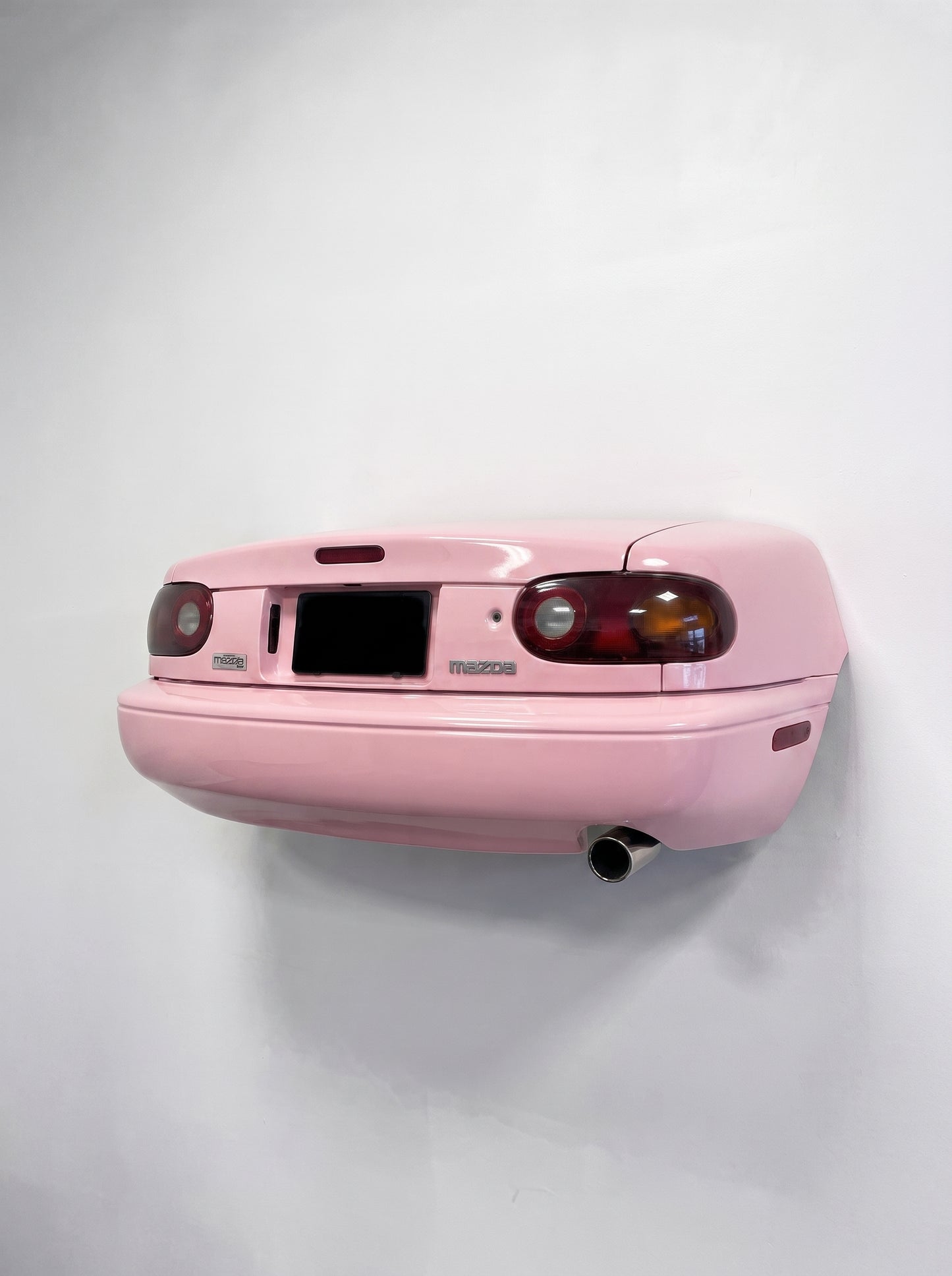 TailMount - Mounted Car Shelf