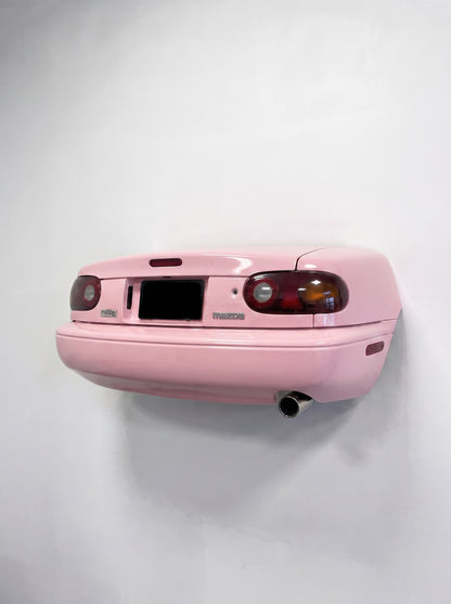 TailMount - Mounted Car Shelf